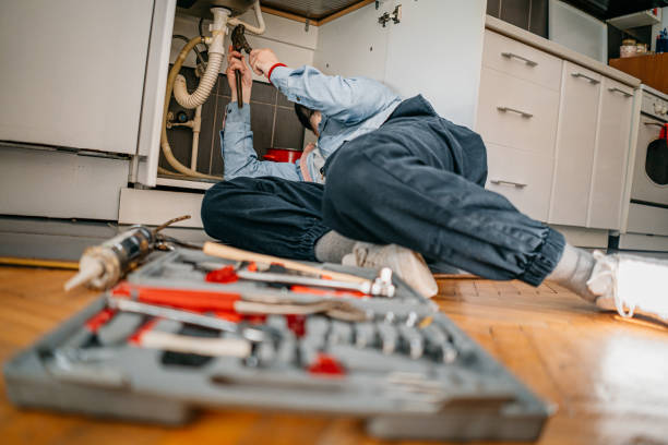 Best Emergency Plumber  in Fritz Creek, AK