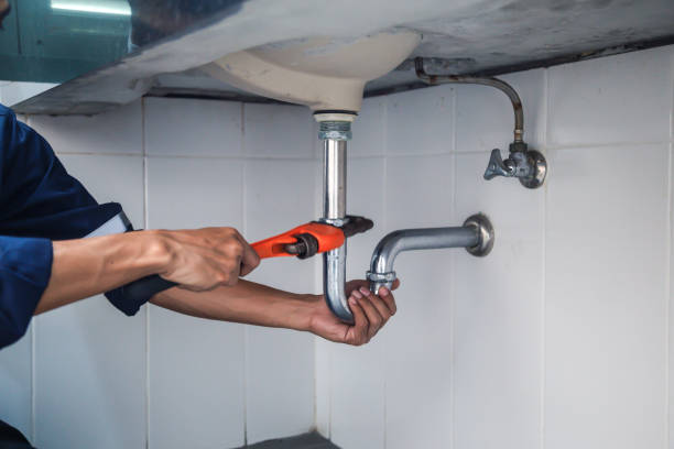 Best Plumbing Inspection Services  in Fritz Creek, AK